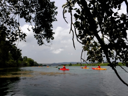 kayak al delta