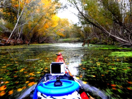 otonal-2016-de-garcia-a-miravet-kayak-aventura-kayakebre-parcdeltaventur-3 garcia-a-miravet-kayak-aventura-kayakebre-parcdeltaventur