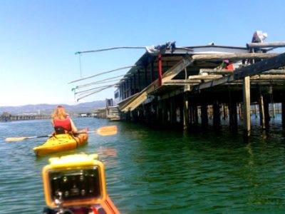 kayak-aventura-delta-ebro-curs-fangar-deltaventur