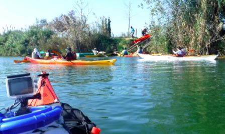 kayakaventura a l'illa de buda dinaret despers. parcdeltaventuir i kayakebre elta de l'ebre (17)