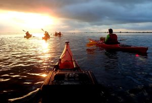 kayak al amanecer al delta del ebro