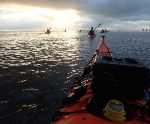 amanecer en kayak al delta del ebro