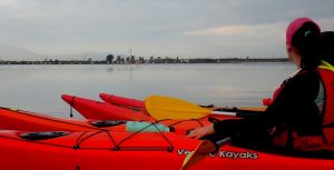 flamencos en kayak al delta del ebro