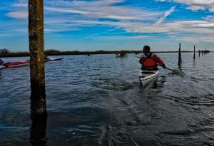 kayak al delta del ebro